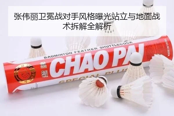 张伟丽卫冕战对手风格曝光站立与地面战术拆解全解析